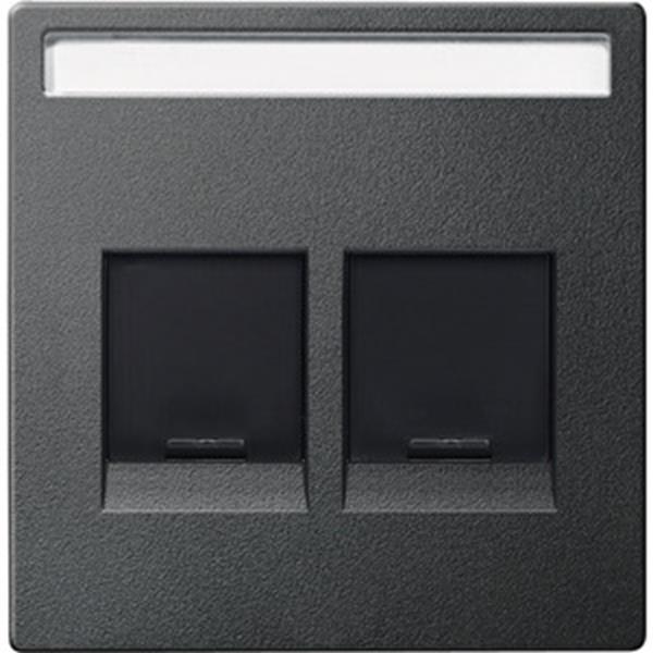 Merten Zentralplatte für Modular Jack 2fach mit Schriftfeld und Staubschutzschie