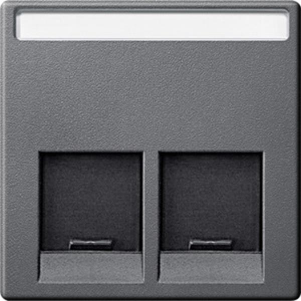 Merten Zentralplatte für Schneider Electric-Connector 2fach, anthrazit, System M