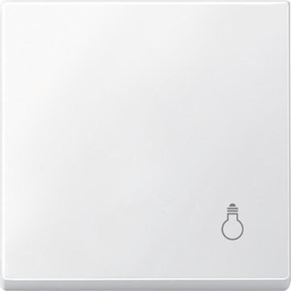 Merten Wippe mit Kennzeichnung Licht, polarweiß, System M