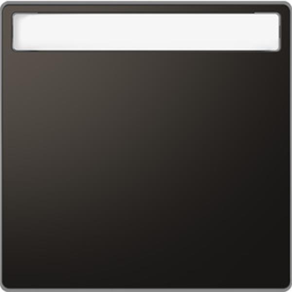 Merten Wippe mit Schriftfeld, Anthrazit, System Design