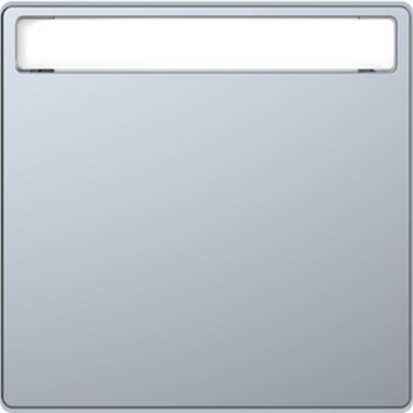 Merten Wippe mit Schriftfeld, Edelstahl, System Design