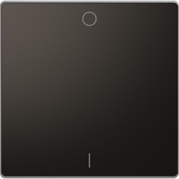 Merten Wippe mit Kennzeichnung 0/ 1, Anthrazit, System Design