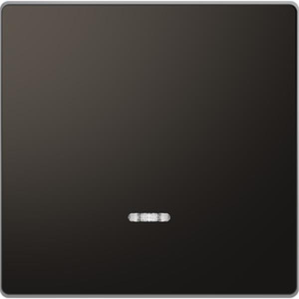 Merten Wippe mit Kontrollfenster, Anthrazit, System Design