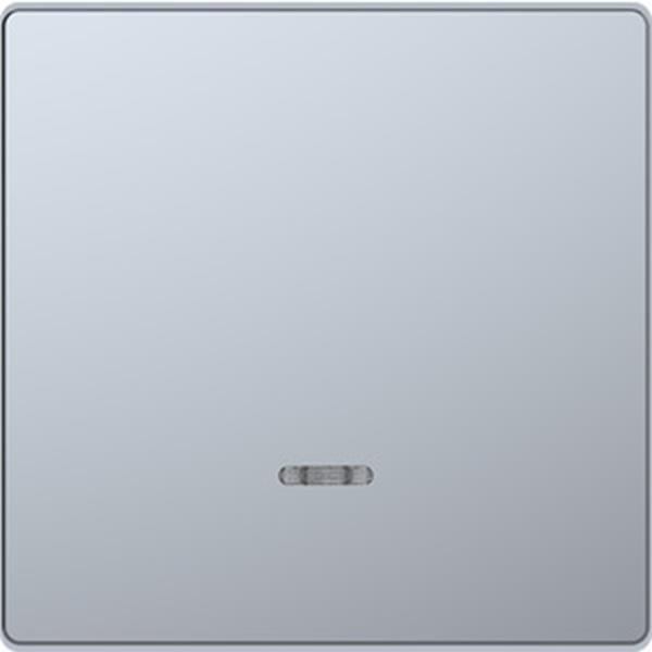 Merten Wippe mit Kontrollfenster, Edelstahl, System Design