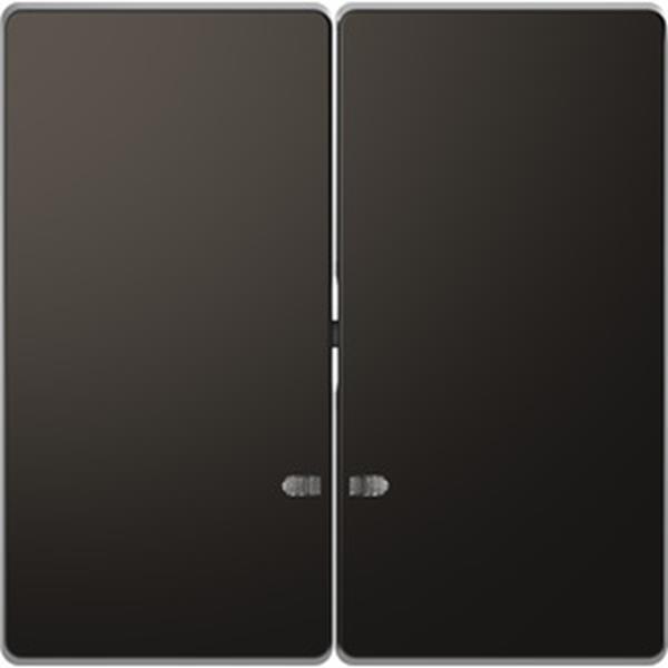 Merten Doppelwippe mit Kontrollfenster, Anthrazit, System Design