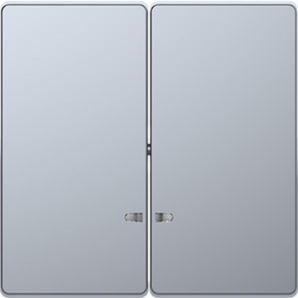 Merten Doppelwippe mit Kontrollfenster, Edelstahl, System Design