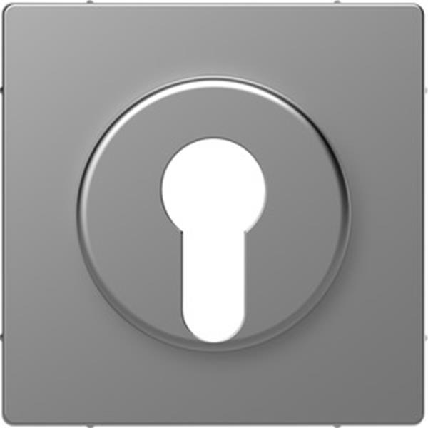 Merten Zentralplatte für Wechsel-Rastschalter-Einsatz, Edelstahl, System Design