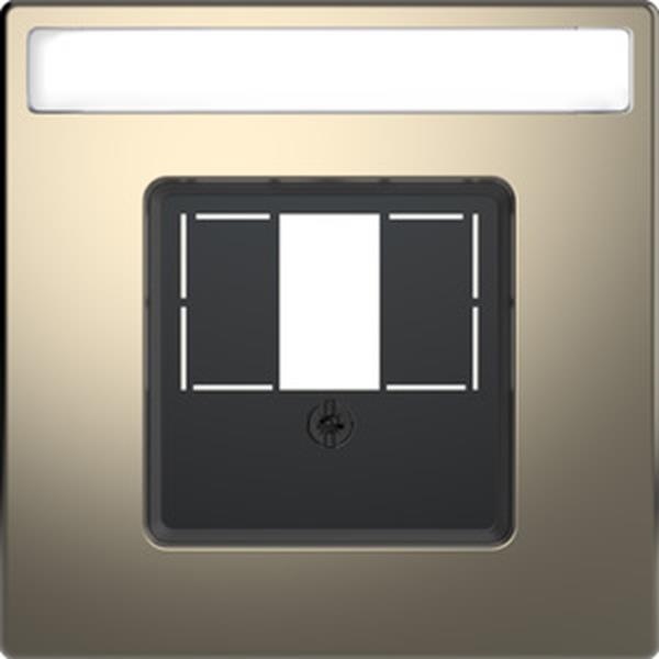Merten Zentralplatte mit rechteckigem Ausschnitt und Schriftfeld, Nickelmetallic