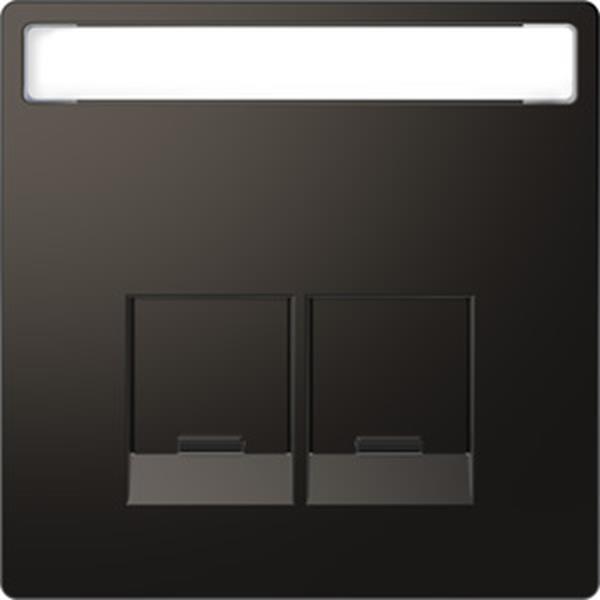 Merten Zentralplatte für Schneider Electric-Connector 2fach, Anthrazit, System D