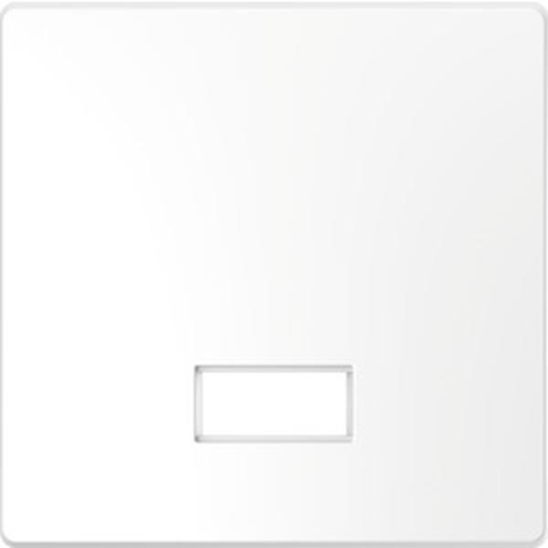 Merten Wippe mit rechteckigem Symbolfenster, Lotosweiß, System Design