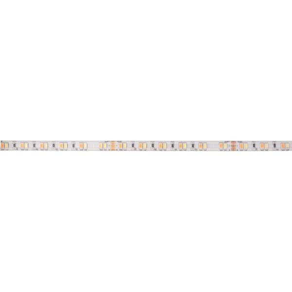 Brumberg 24V DC 19,2W / m TunableWh