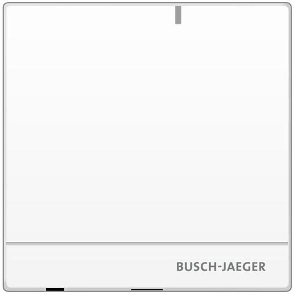 Busch-Jäger D04031-03-RF/IP Gateway
