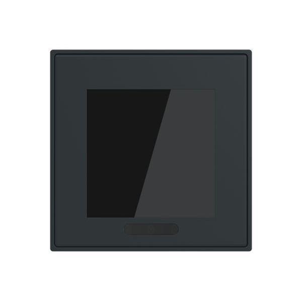 Busch-Jäger Display 2,4 Format 70 - Busch-art linear