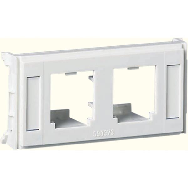 Schneider Thorsman CYB-DP - Montageplatte - 2xPanduit Mini-COM m Beschriftung we