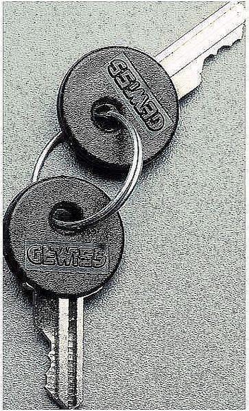 Gewiss Set 2 Schlüsseln f. Schalt-/Steuergeräte