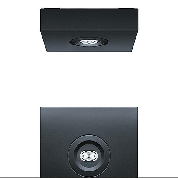 Zumtobel LED-Notleuchte Resclite Pro MSC ANT E1D BK